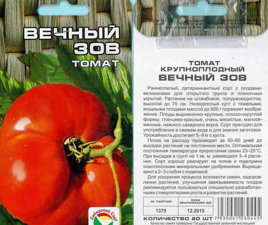 Описание сорта томата Вечный зов отзывы фото урожайность характеристика и отзывы садоводов рекомендации по выращиванию и уходу