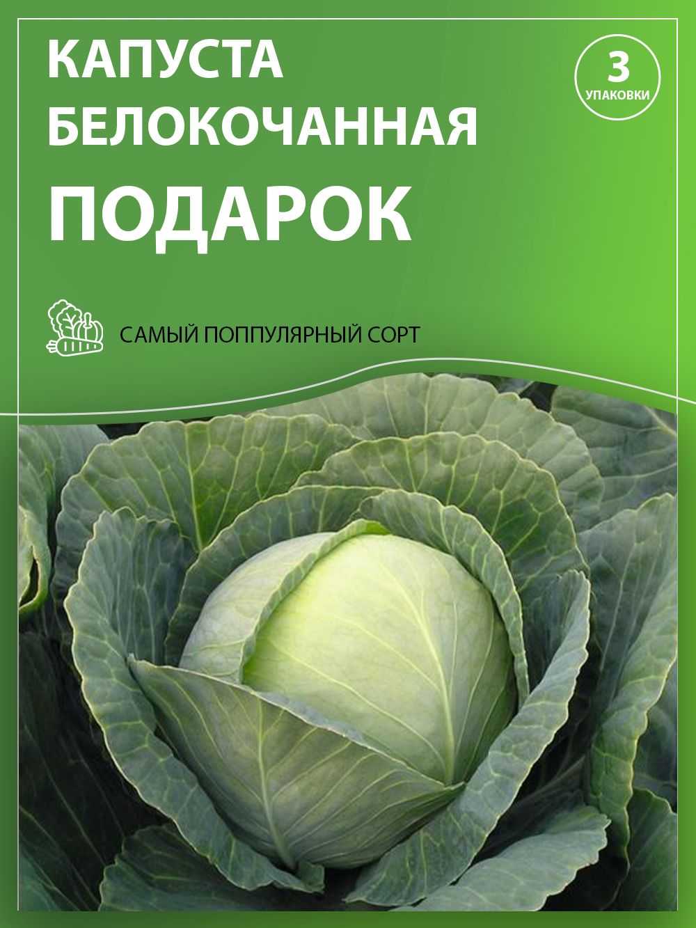 Капуста подарок: описание сорта, фото и отзывы