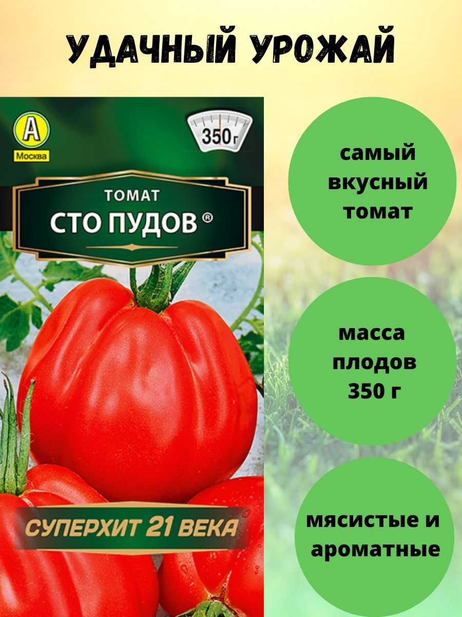 Томат сто пудов