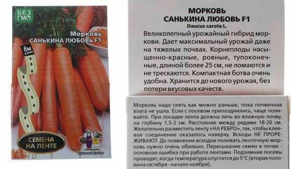 Лучшие сорта моркови на 2021 год: самые урожайные, вкусные, сочные, сладкие - огород-365