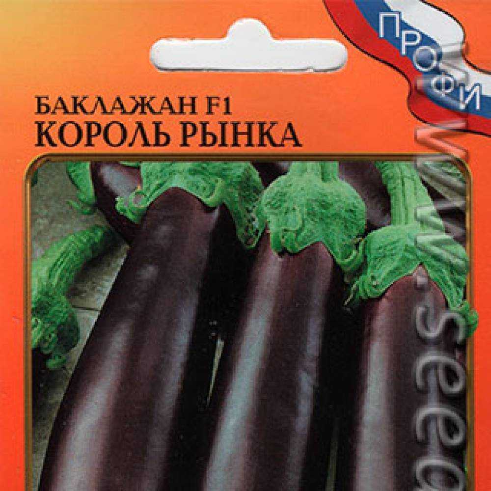 Как правильно выращивать морозоустойчивый баклажан «король севера»