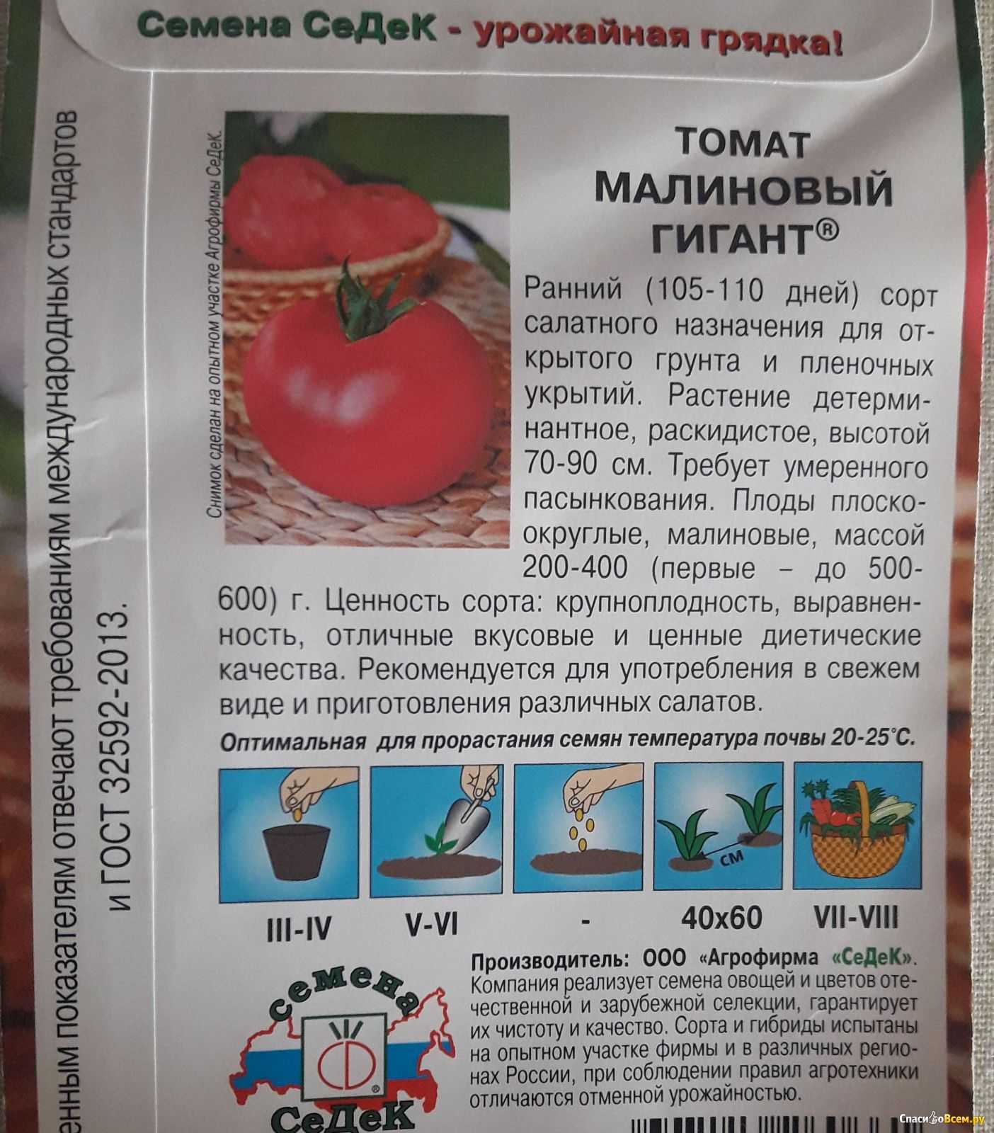 Томат клондайк: описание сорта помидоров, характеристики. особенности посадки и выращивания, болезни и вредители, достоинства и недостатки – календарь садовода