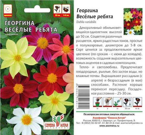 Выращивание гайлардии из семян: как и когда сажать | огородник