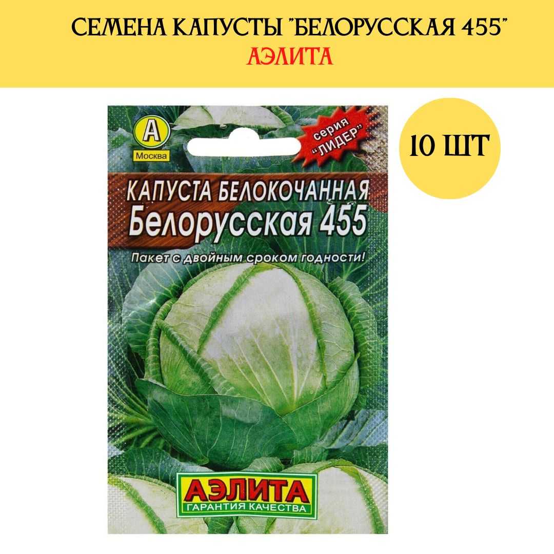 Капуста белорусская: описание сорта, фото, отзывы