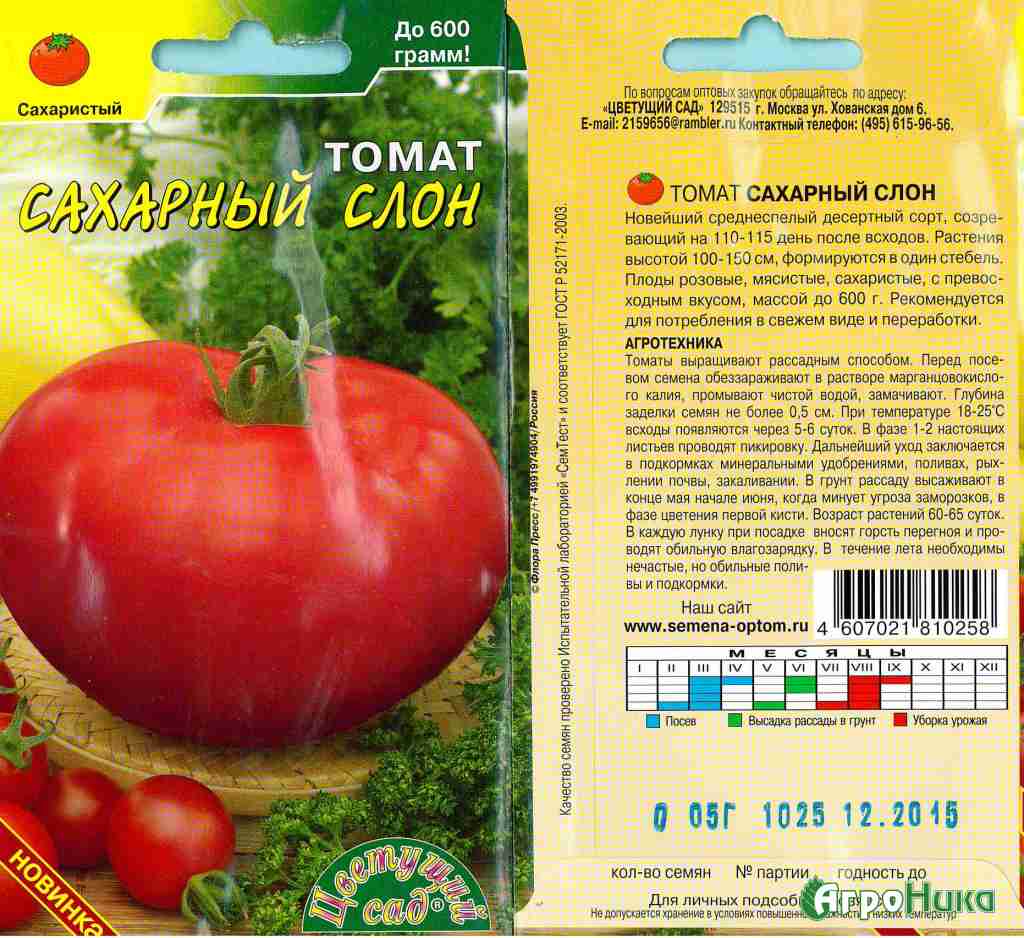 Томат черный слон