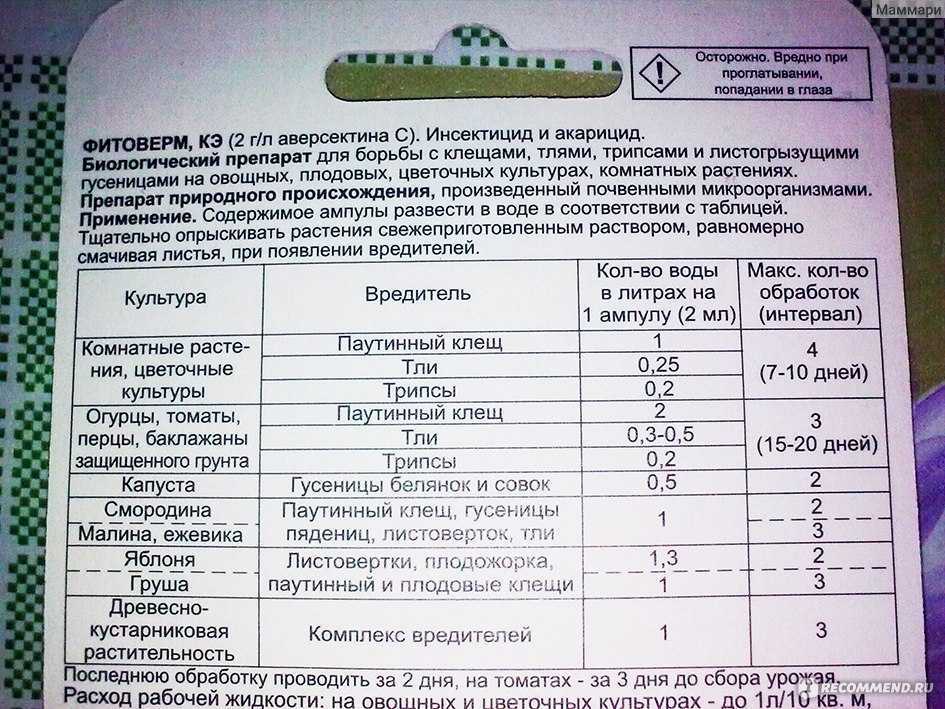 Фитоверм: инструкция по применению для комнатных растений и в огороде