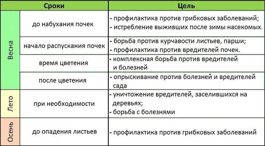 Чем опрыскать плодовые деревья и кустарники осенью: искореняющая обработка сада