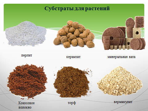 Грунт для комнатных растений: критерии выбора почвы, универсальная цветочная земля и дезинфекция грунта для домашних цветов