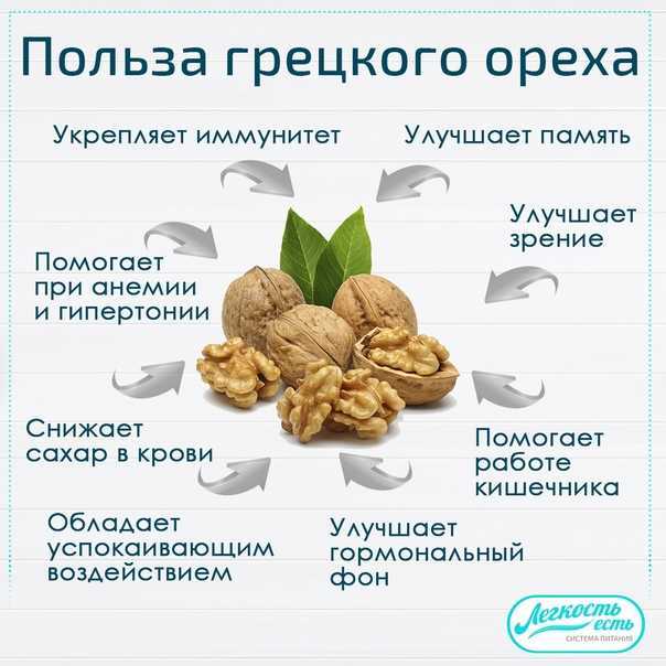 Циссус, роициссус: фото, советы и рекомендации по уходу