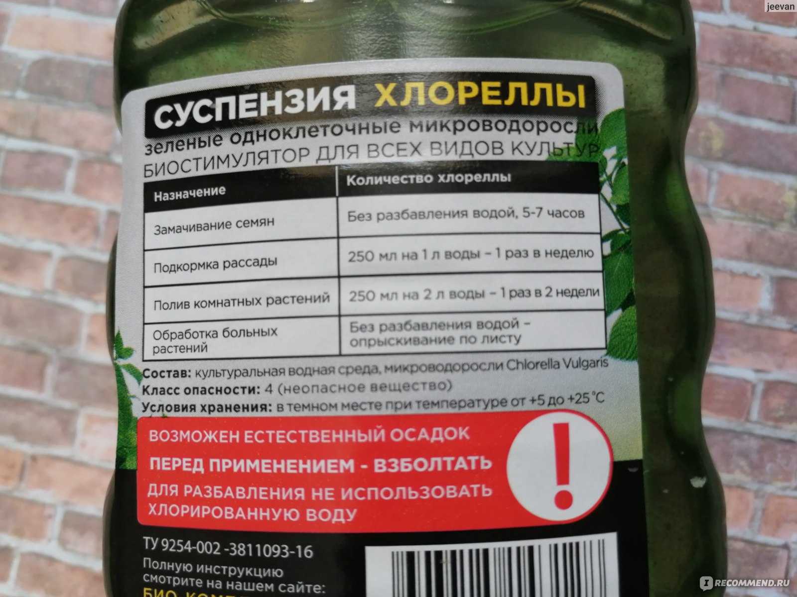 Суспензия хлореллы как вырастить