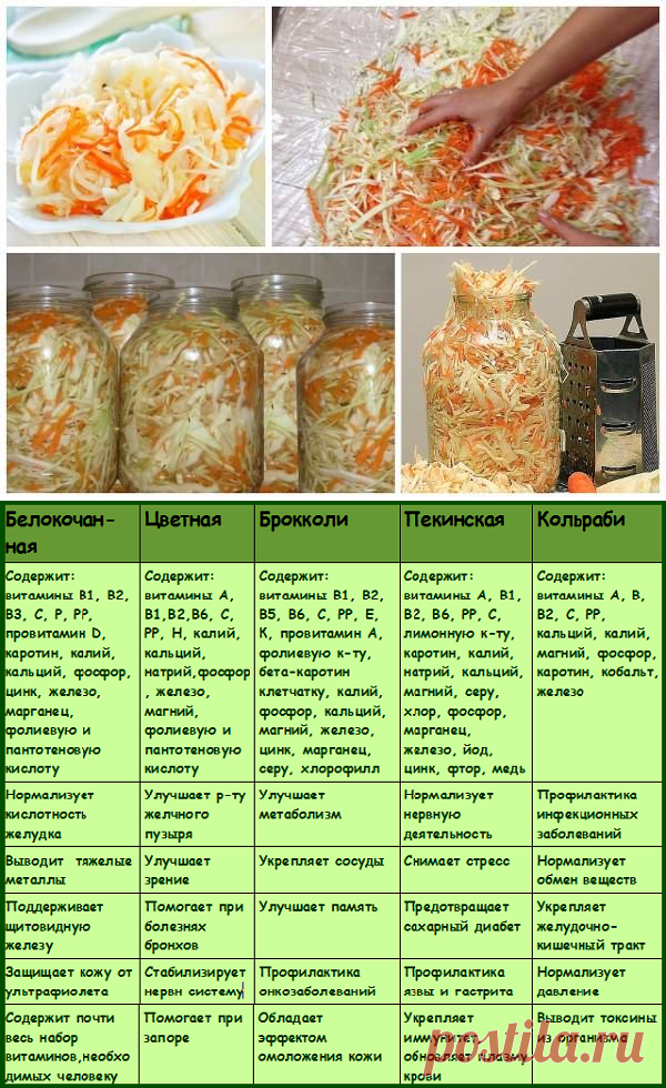 Квашеная капуста быстрого приготовления: 5 рецептов хрустящей и сочной капусты