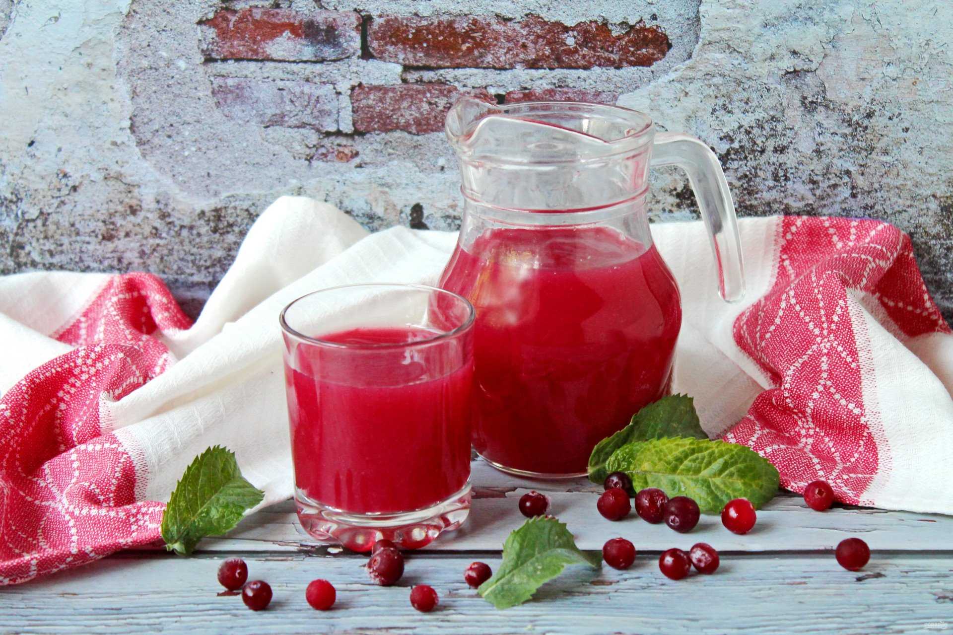 Как приготовить кисель из клюквы, советы и рецепты вкусного напитка и десерта