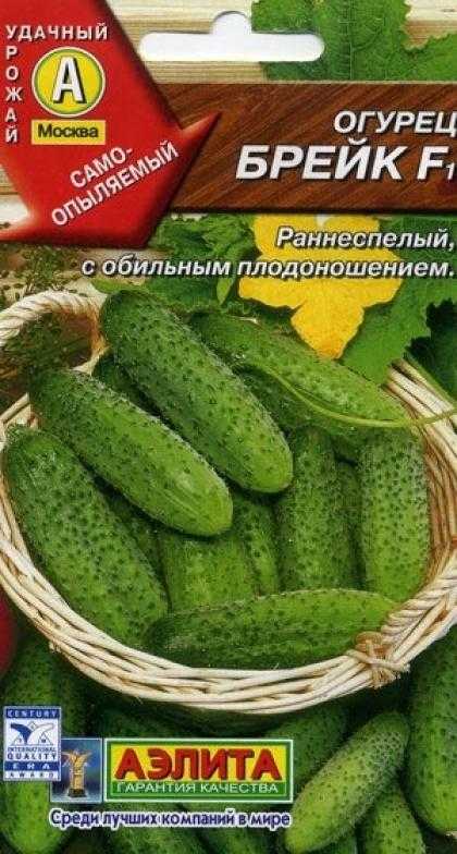 Огурцы брейк: характеристика и описание гибридного сорта с фото