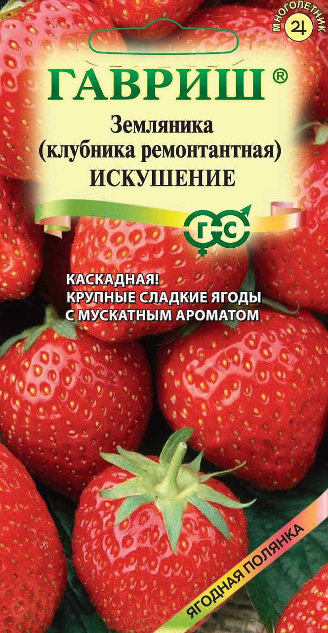 Клубника искушение f1: описание сорта, отзывы садоводов с фото и видео_ | speakingflower.ru