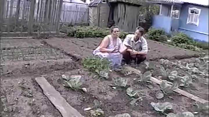 Умный огород или грядки для ленивых дачников