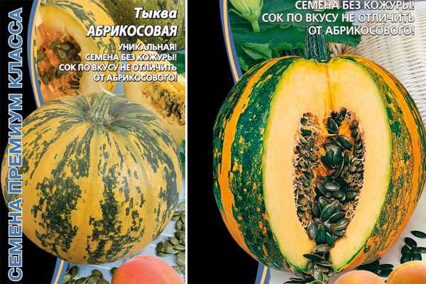 Голосемянная тыква: характеристика и описание сорта с фото, польза и вред, как употреблять семена, семечки без кожуры, отзывы и выращивание