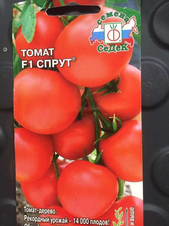 Помидоры “спрут”: характеристика и описание сорта, отзывы