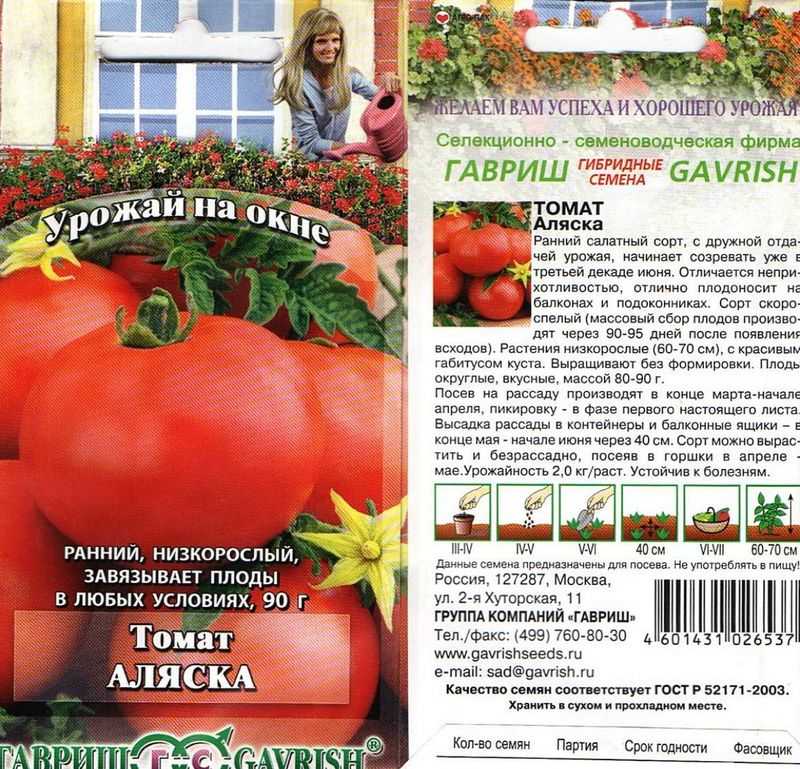 Томат аляска: отзывы + фото тех, кто сажал