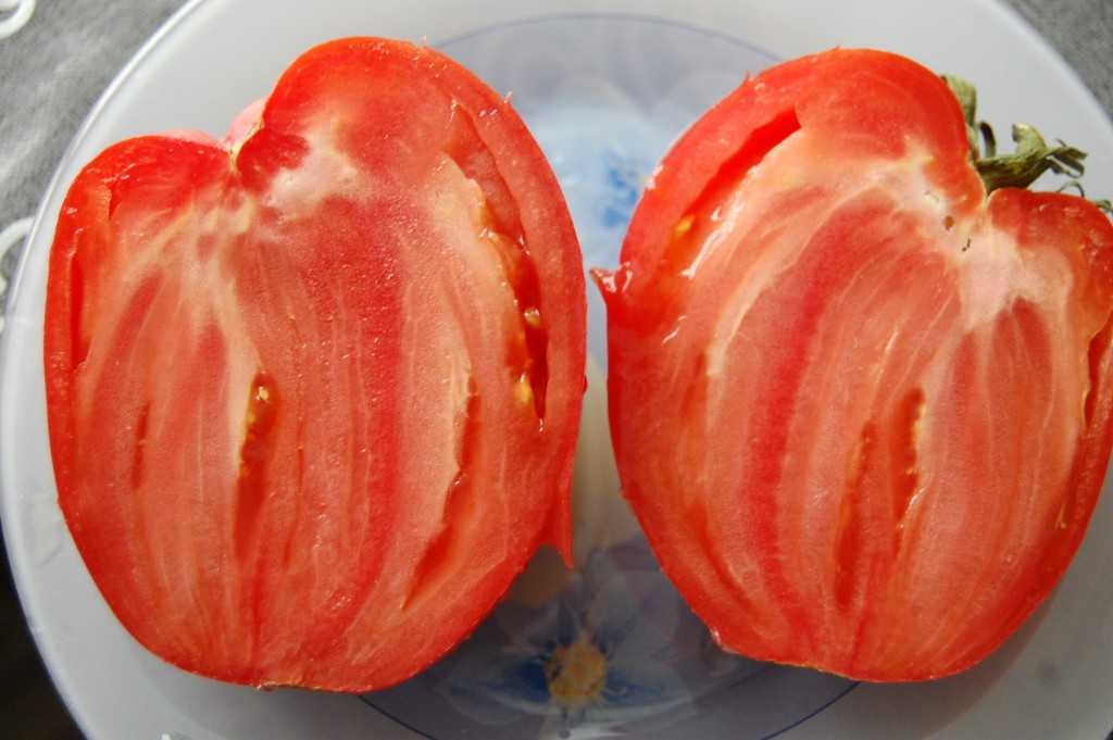 Томат кумир: описание сорта, отзывы (8), фото | tomatland.ru