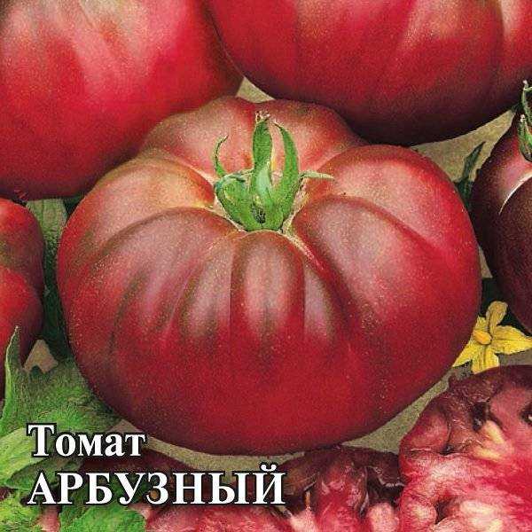 Томат арбузный: характеристика и описание сорта, отзывы, фото, достоинства и недостатки
