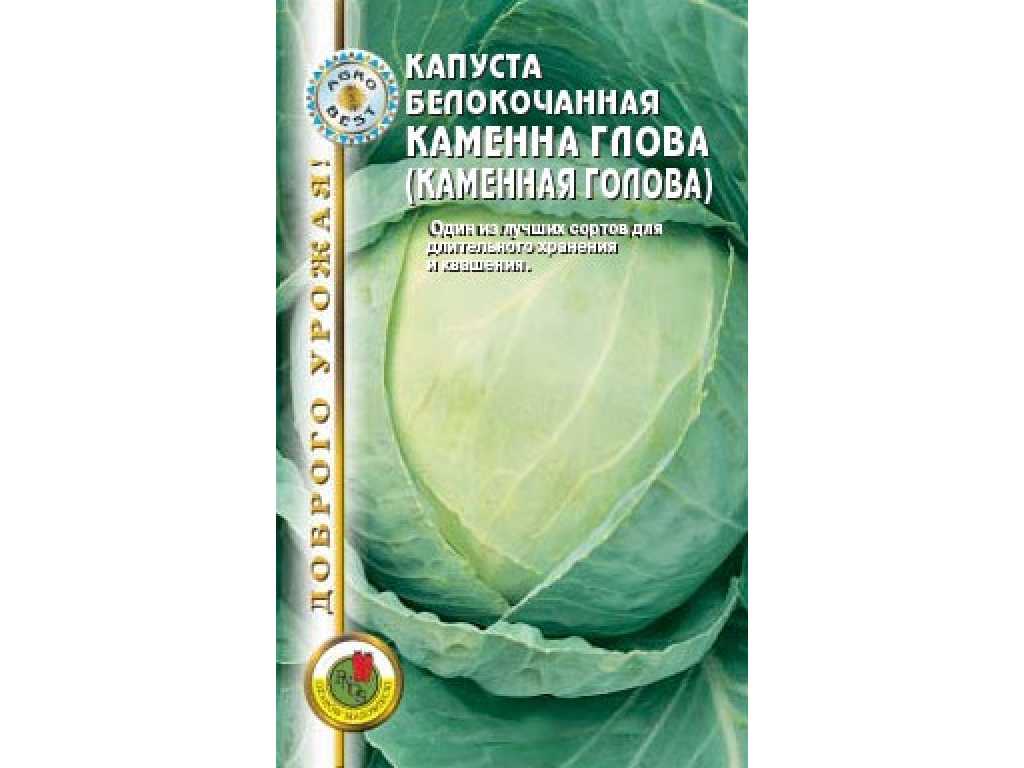 Капуста сахарная голова: характеристика и описание сорта