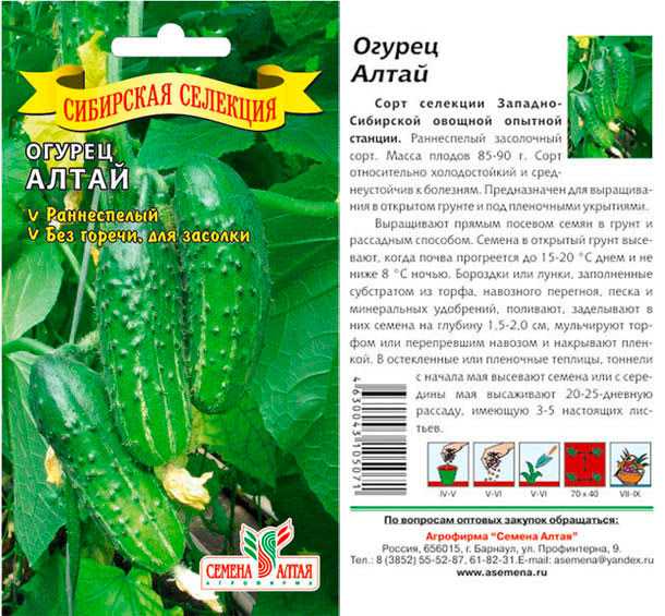 Фото, видео, описание, посадка, характеристика, урожайность, отзывы классического русского сорта огурцов «серпантин».
