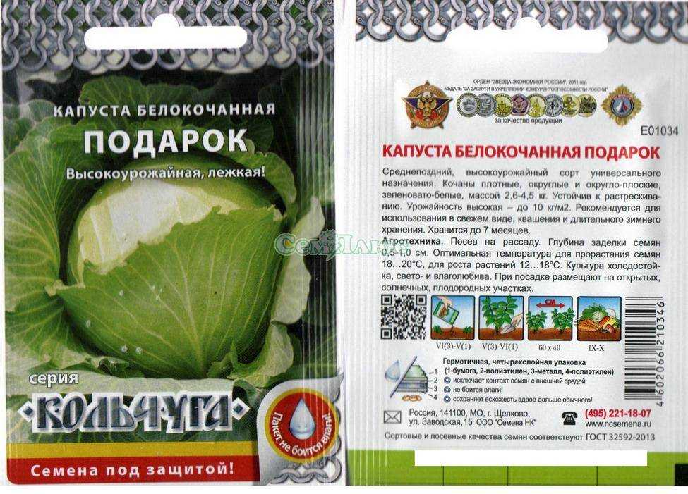 Капуста подарок — старинный сорт отечественной селекции