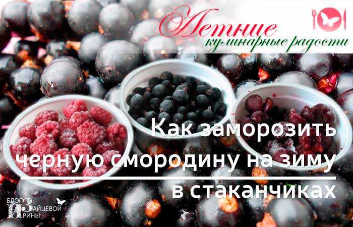 Удивительная ягода черная смородина без проблем хранится в морозильной камере сохраняет вкус аромат кислинку и в выпечке или напитках не отличается