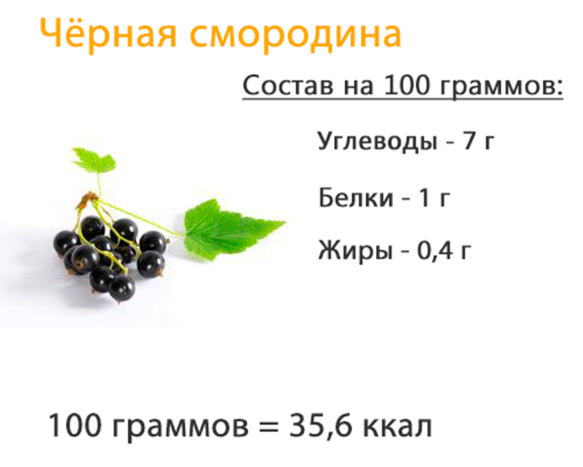 Компот смородиновый: рецепт, как готовить
