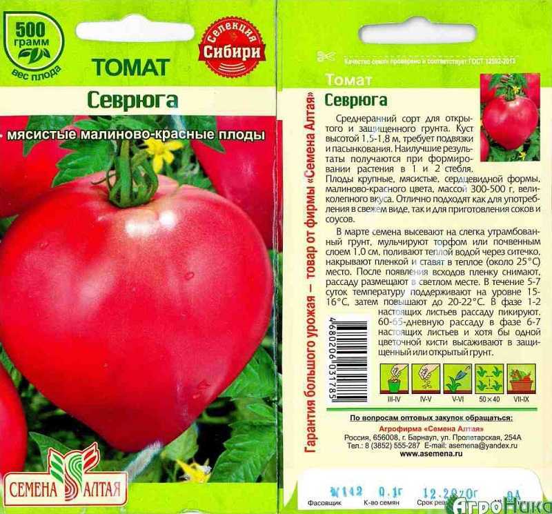 Новинки томатов, которые стоит посадить на рассаду в 2024 году: 5 урожайных сортов: новости, главные новости, растения, помидоры, томат, новинки, сад и огород
