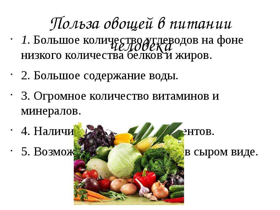 Зожник |   уничтожает ли кипячение и жарка витамины из овощей и фруктов?
