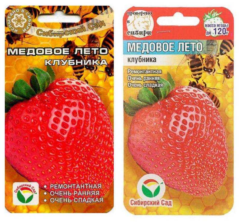 Клубника сорт медовое лето - описание, посадка, уход, отзывы