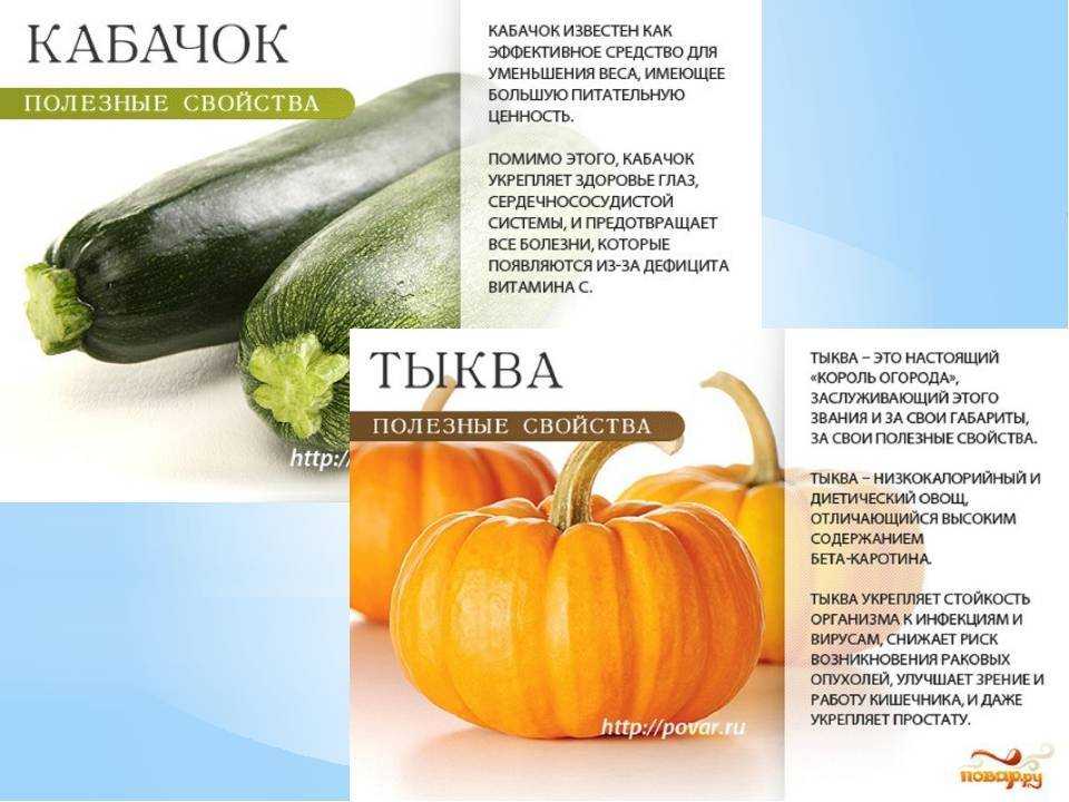 Кабачки — польза и возможный вред для здоровья | польза и вред