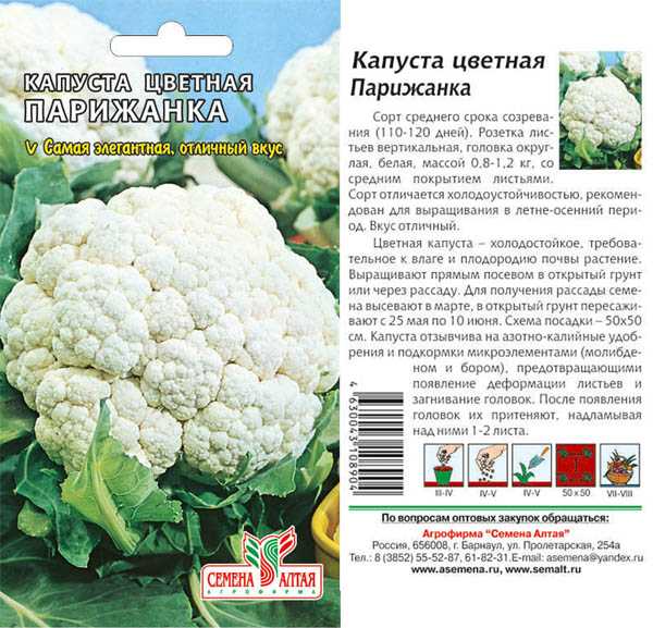 Лучшие и самые продуктивные сорта цветной капусты для открытого грунта
