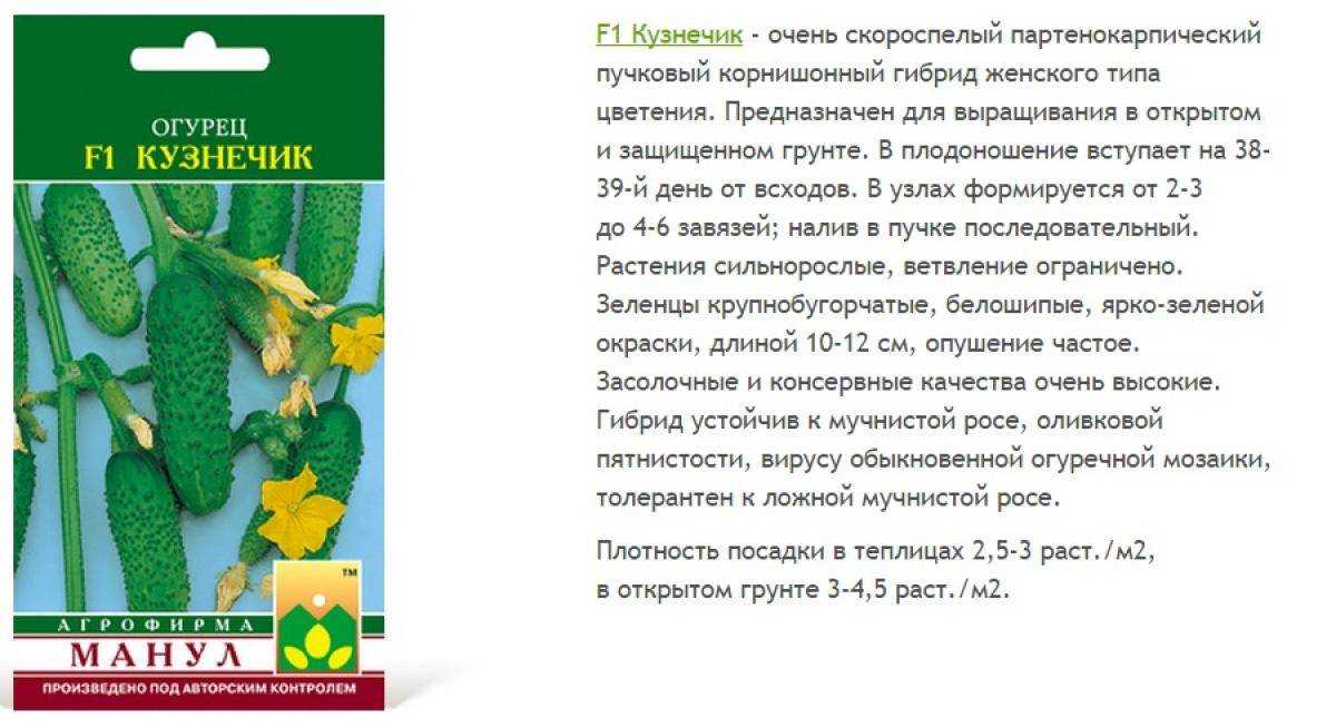 Огурцы кузнечик f1: описание сорта, посадка, уход, фото, отзывы