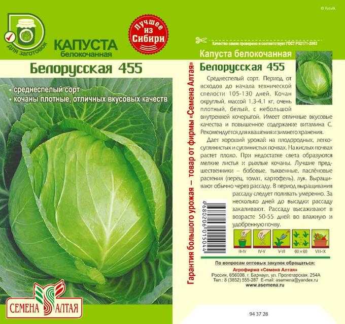 Капуста белорусская: описание сорта, фото, характеристика, отзывы, урожайность, особенности выращивания