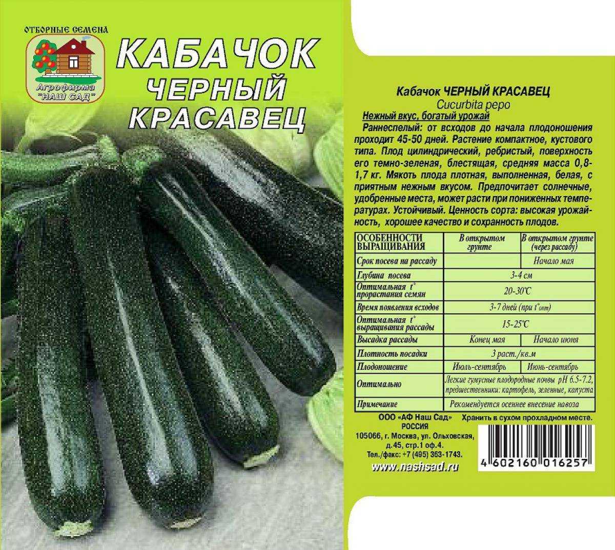 Лучшие сорта кабачков для открытого грунта и теплиц
