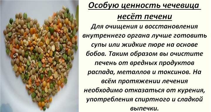Каша из чечевицы – полезное и необычное блюдо на каждый день. различные рецепты каши из чечевицы для здоровья и радости - автор екатерина данилова - журнал женское мнение