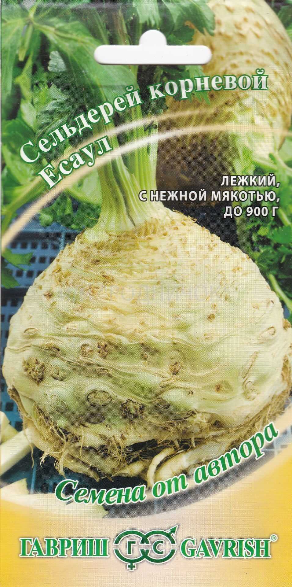Лучшие сорта листового сельдерея - посадка и уход