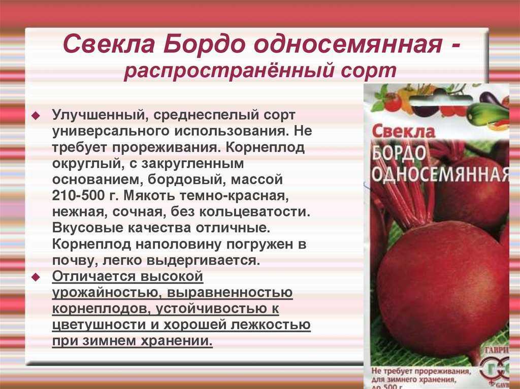 Лучшие сорта свеклы столовой с фото и описанием | агропромышленный вестник