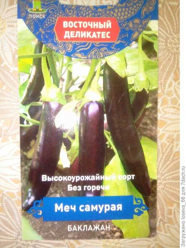 Правила выращивания баклажана “меч самурая”