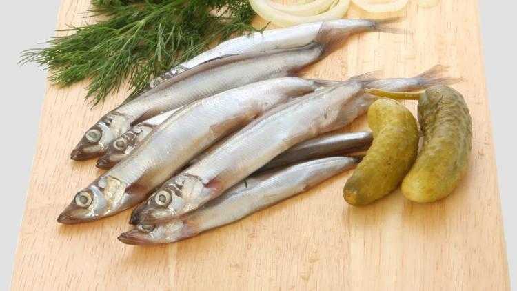 Польза и вред икры, копченой, отварной рыбы мойвы