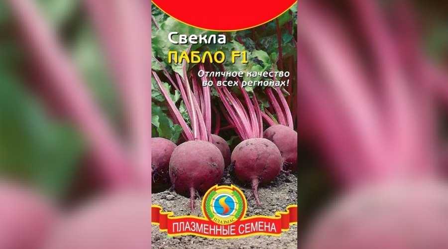 Сорта свеклы — фото и описания