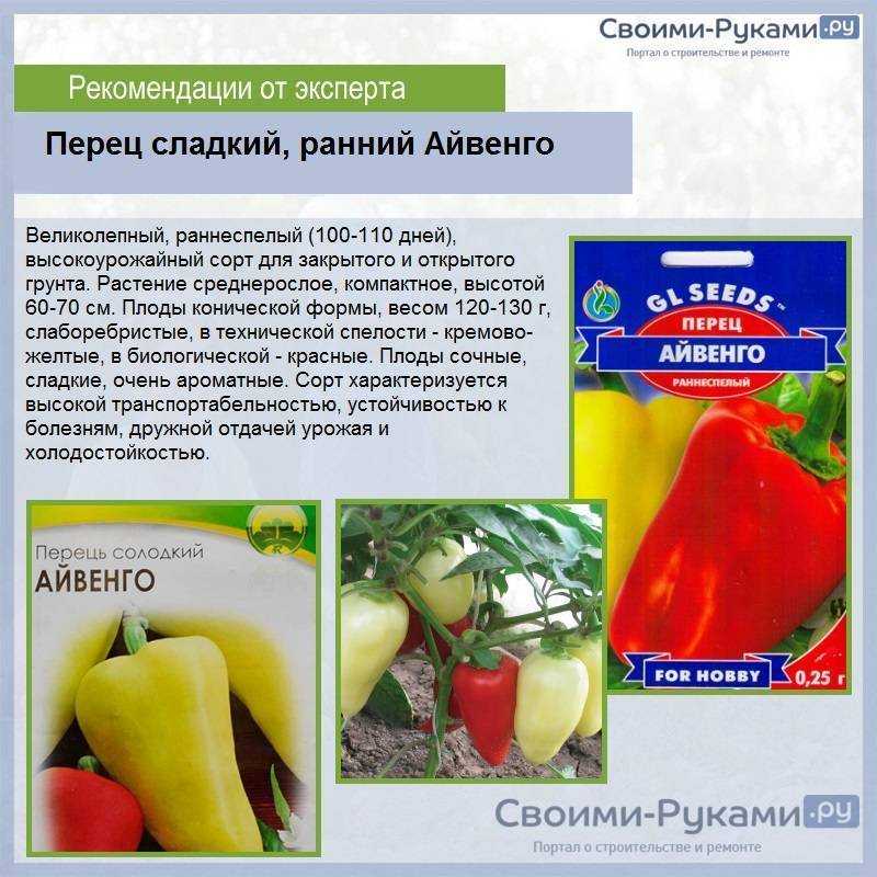 Сорта перца сладкого толстостенного для теплиц: ранние, средние, поздние и другие