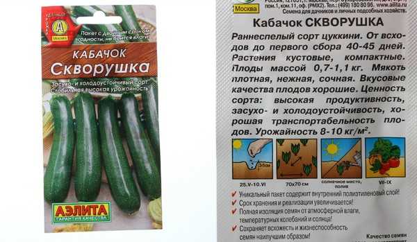 Лучшие сорта кабачков для открытого грунта с фото, названием и описанием