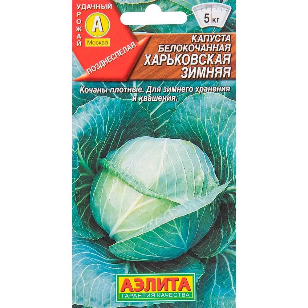 Капуста харьковская зимняя: описание и характеристика сорта, отзывы дачников с фото