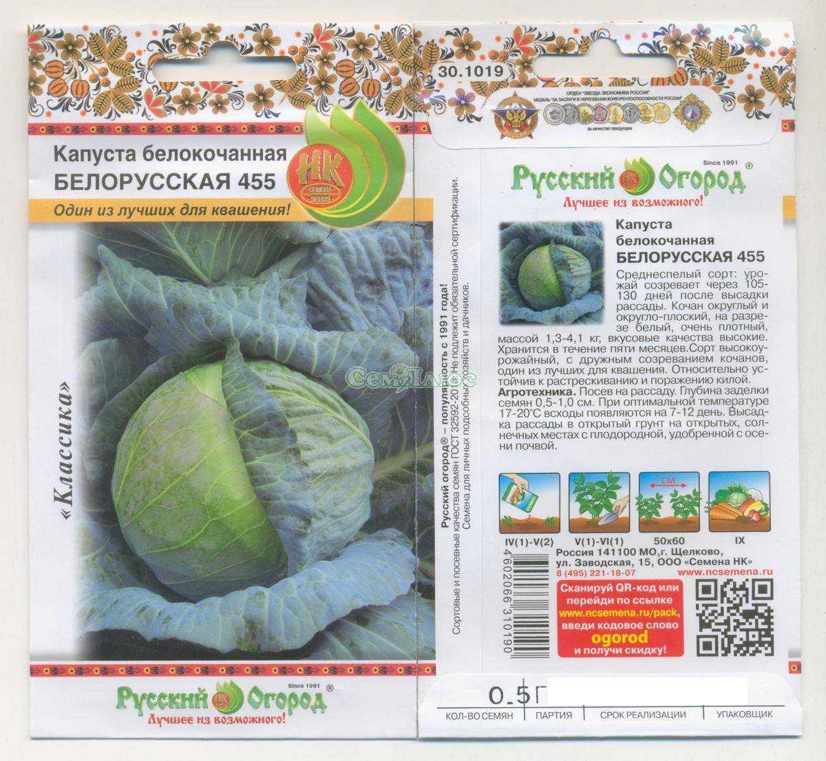 Капуста белорусская 455, 85