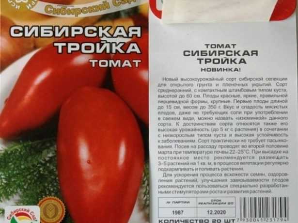 Помидор сибирская тройка