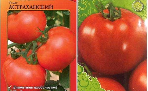 Томаты астраханские: отзывы, описание и характеристика сорта, урожайность