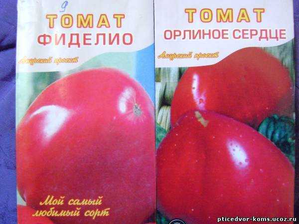 Самоопыляющийся томат фиделио: отзывы, фото, урожайность, агротехника